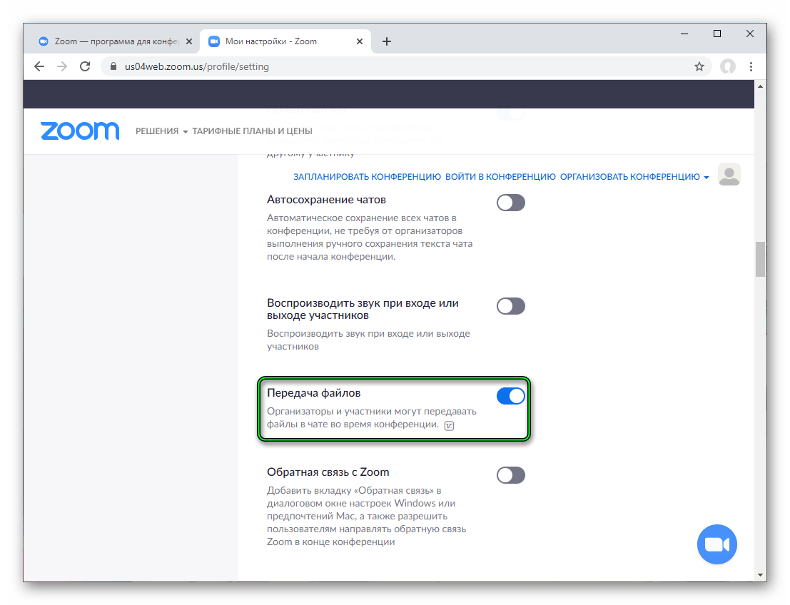 Опция Передача файлов в настройках Zoom на сайте