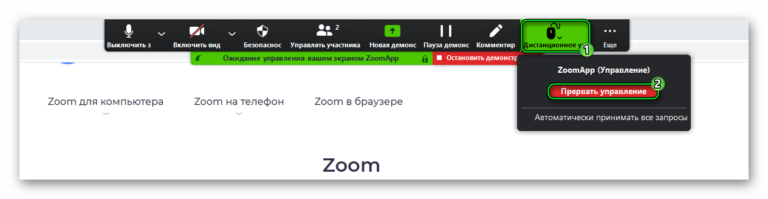 Можно ли в скайпе передать управление мышкой